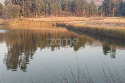 Helårsgrund i Seia, Guarda, Seia - € 1.000.000 | Ref: ZMPT579781 - foto 15