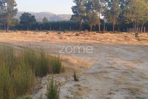 Helårsgrund i Seia, Guarda, Seia - € 1.000.000 | Ref: ZMPT579781 - foto 19