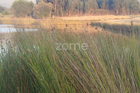 Helårsgrund i Seia, Guarda, Seia - € 1.000.000 | Ref: ZMPT579781 - foto 20