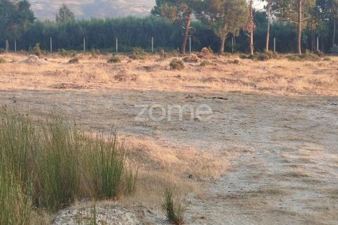 Helårsgrund i Seia, Guarda, Seia - € 1.000.000 | Ref: ZMPT579781 - foto 21