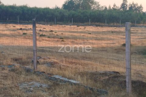 Helårsgrund i Seia, Guarda, Seia - € 1.000.000 | Ref: ZMPT579781 - foto 23