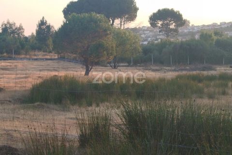 Helårsgrund i Seia, Guarda, Seia - € 1.000.000 | Ref: ZMPT579781 - foto 24