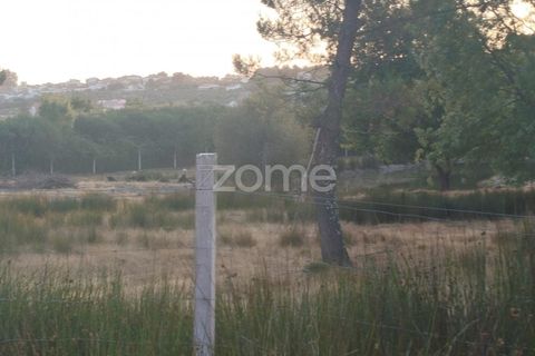 Helårsgrund i Seia, Guarda, Seia - € 1.000.000 | Ref: ZMPT579781 - foto 25
