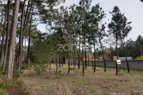 Helårsgrund i Pataias, Leiria, Pataias - € 19.920 | Ref: ZMPT548563 - foto 3