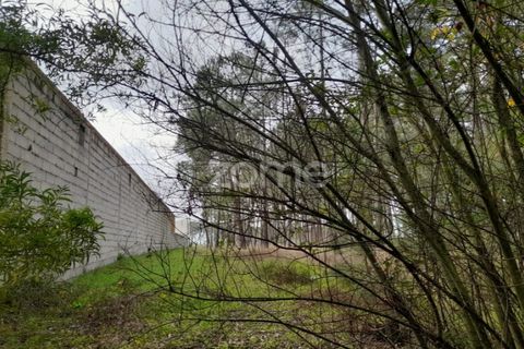 Helårsgrund i Pataias, Leiria, Pataias - € 19.920 | Ref: ZMPT548563 - foto 5
