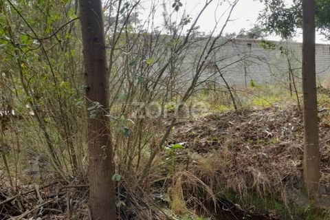 Helårsgrund i Pataias, Leiria, Pataias - € 19.920 | Ref: ZMPT548563 - foto 11