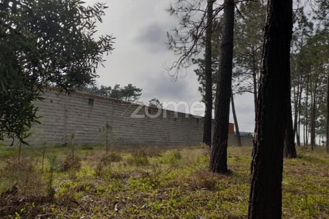 Helårsgrund i Pataias, Leiria, Pataias - € 19.920 | Ref: ZMPT548563 - foto 15