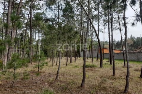 Helårsgrund i Pataias, Leiria, Pataias - € 19.920 | Ref: ZMPT548563 - foto 17
