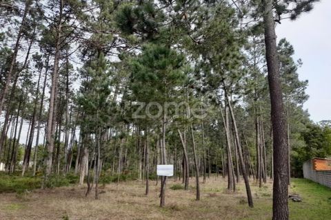 Helårsgrund i Pataias, Leiria, Pataias - € 19.920 | Ref: ZMPT548563 - foto 18