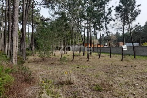 Helårsgrund i Pataias, Leiria, Pataias - € 19.920 | Ref: ZMPT548563 - foto 19