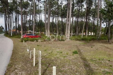 Helårsgrund i Pataias, Leiria, Pataias - € 19.920 | Ref: ZMPT548563 - foto 20