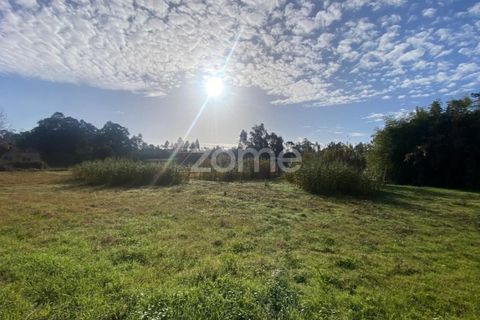 Helårsgrund i Vagos, Aveiro, Vagos - € 33.000 | Ref: ZMPT583913 - foto 10