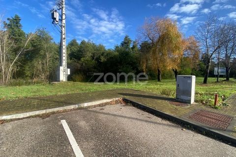 Helårsgrund i Vagos, Aveiro, Vagos - € 33.000 | Ref: ZMPT583913 - foto 12