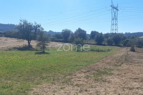 Helårsgrund i Pombal, Leiria, Pombal - € 40.000 | Ref: ZMPT568482 - foto 3