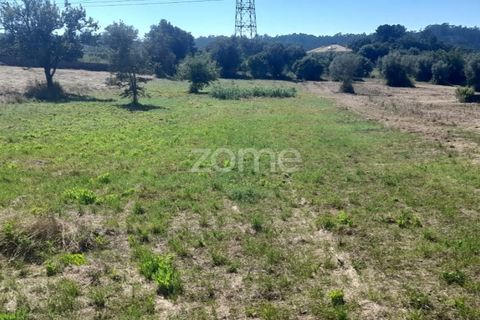 Helårsgrund i Pombal, Leiria, Pombal - € 40.000 | Ref: ZMPT568482 - foto 4