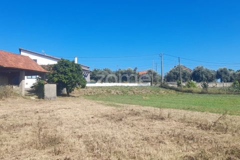 Helårsgrund i Pombal, Leiria, Pombal - € 40.000 | Ref: ZMPT568482 - foto 6