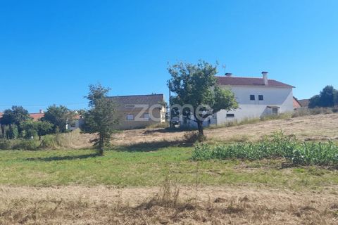 Helårsgrund i Pombal, Leiria, Pombal - € 40.000 | Ref: ZMPT568482 - foto 7