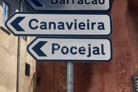 Helårsgrund i Pombal, Leiria, Pombal - € 40.000 | Ref: ZMPT568482 - foto 8