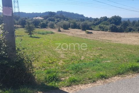Helårsgrund i Pombal, Leiria, Pombal - € 40.000 | Ref: ZMPT568482 - foto 10