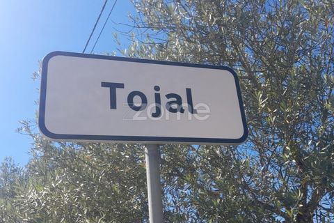 Helårsgrund i Pombal, Leiria, Pombal - € 40.000 | Ref: ZMPT568482 - foto 12