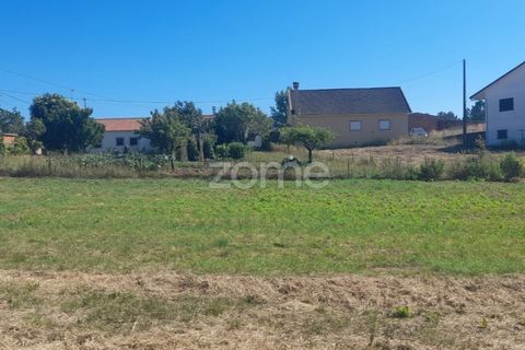 Helårsgrund i Pombal, Leiria, Pombal - € 40.000 | Ref: ZMPT568482 - foto 13
