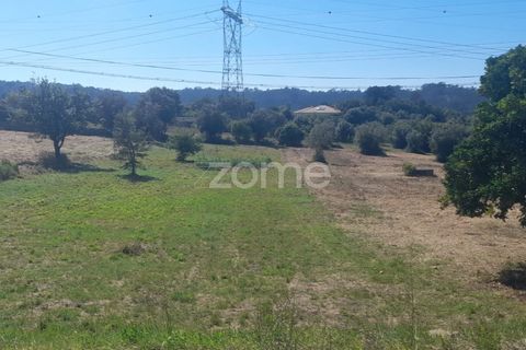 Helårsgrund i Pombal, Leiria, Pombal - € 40.000 | Ref: ZMPT568482 - foto 14