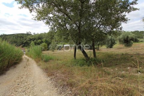 Helårsgrund i Coimbra, Coimbra, Coimbra - € 60.000 | Ref: ZMPT546350 - foto 1