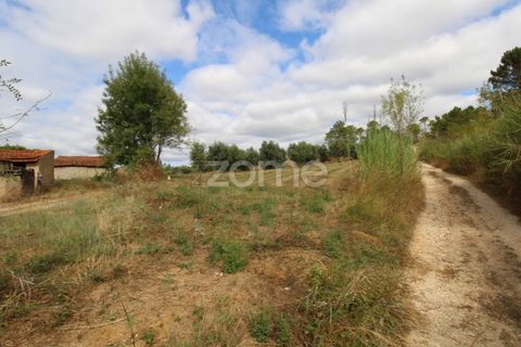 Helårsgrund i Coimbra, Coimbra, Coimbra - € 60.000 | Ref: ZMPT546350 - foto 5