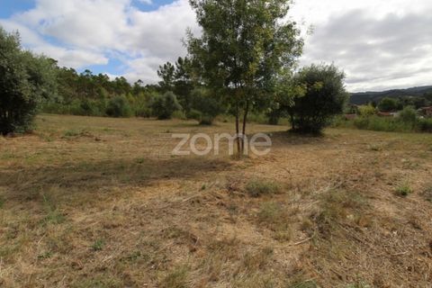 Helårsgrund i Coimbra, Coimbra, Coimbra - € 60.000 | Ref: ZMPT546350 - foto 9