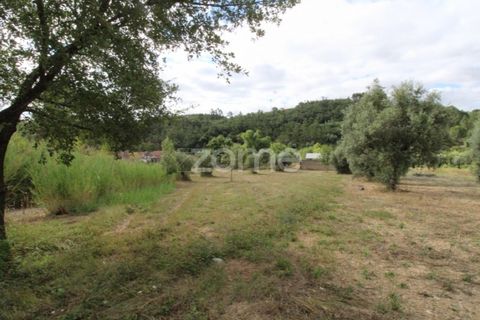 Helårsgrund i Coimbra, Coimbra, Coimbra - € 60.000 | Ref: ZMPT546350 - foto 11