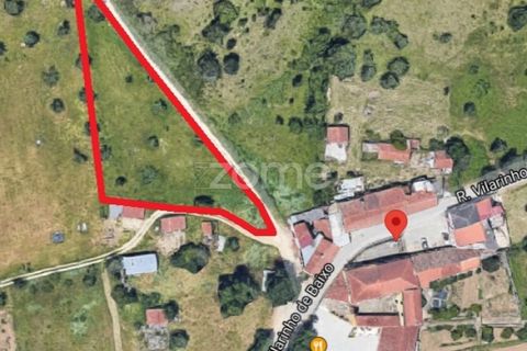 Helårsgrund i Coimbra, Coimbra, Coimbra - € 60.000 | Ref: ZMPT546350 - foto 20