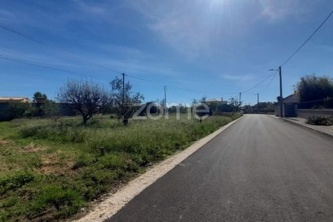 Helårsgrund i Pombal, Leiria, Pombal - € 79.500 | Ref: ZMPT587013 - foto 2