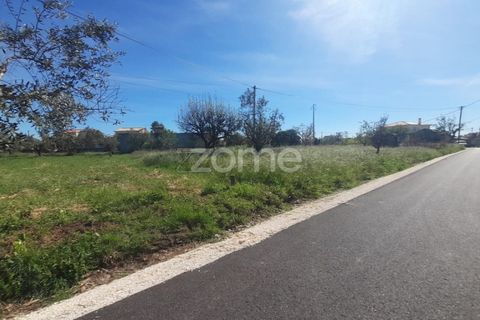 Helårsgrund i Pombal, Leiria, Pombal - € 79.500 | Ref: ZMPT587013 - foto 3