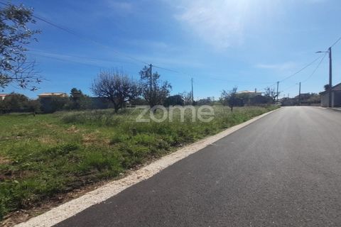 Helårsgrund i Pombal, Leiria, Pombal - € 79.500 | Ref: ZMPT587013 - foto 4