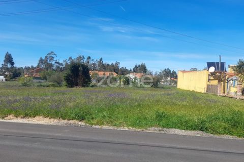 Helårsgrund i Pombal, Leiria, Pombal - € 79.500 | Ref: ZMPT587013 - foto 7