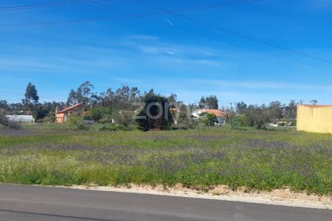 Helårsgrund i Pombal, Leiria, Pombal - € 79.500 | Ref: ZMPT587013 - foto 8