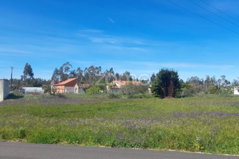 Helårsgrund i Pombal, Leiria, Pombal - € 79.500 | Ref: ZMPT587013 - foto 9