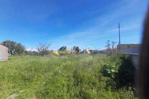Helårsgrund i Pombal, Leiria, Pombal - € 79.500 | Ref: ZMPT587013 - foto 10