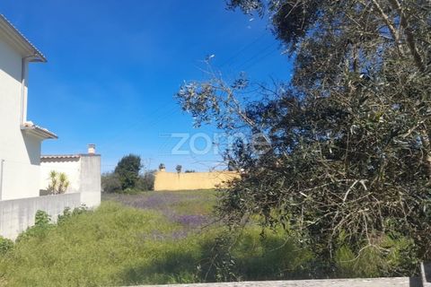 Helårsgrund i Pombal, Leiria, Pombal - € 79.500 | Ref: ZMPT587013 - foto 11