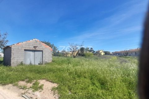 Helårsgrund i Pombal, Leiria, Pombal - € 79.500 | Ref: ZMPT587013 - foto 12