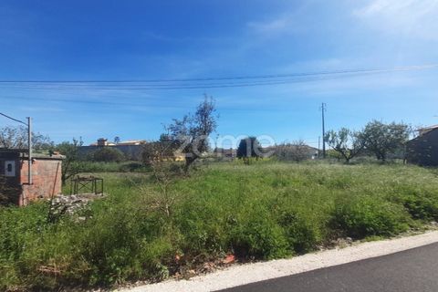 Helårsgrund i Pombal, Leiria, Pombal - € 79.500 | Ref: ZMPT587013 - foto 13
