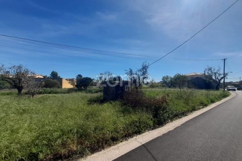 Helårsgrund i Pombal, Leiria, Pombal - € 79.500 | Ref: ZMPT587013 - foto 14