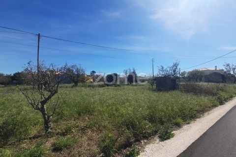 Helårsgrund i Pombal, Leiria, Pombal - € 79.500 | Ref: ZMPT587013 - foto 15