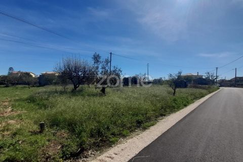 Helårsgrund i Pombal, Leiria, Pombal - € 79.500 | Ref: ZMPT587013 - foto 16