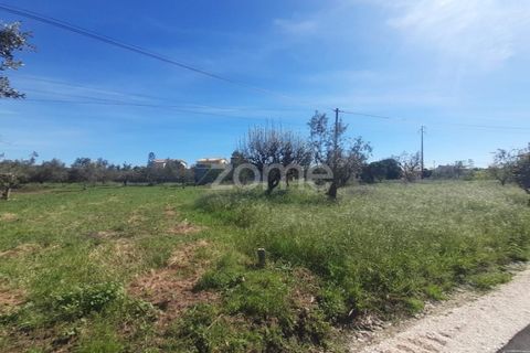 Helårsgrund i Pombal, Leiria, Pombal - € 79.500 | Ref: ZMPT587013 - foto 17