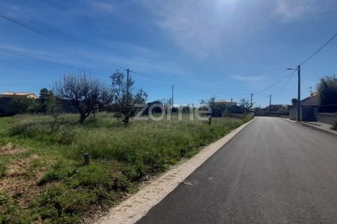 Helårsgrund i Pombal, Leiria, Pombal - € 79.500 | Ref: ZMPT587013 - foto 18