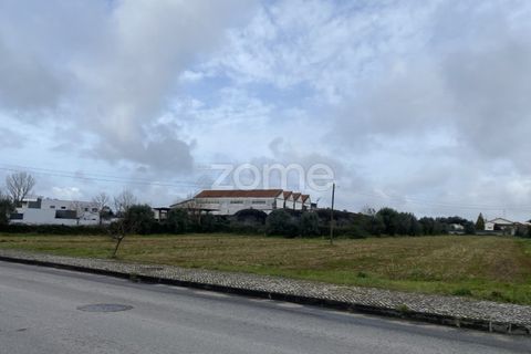 Helårsgrund i Mealhada, Aveiro, Mealhada - € 450.000 | Ref: ZMPT574541 - foto 2