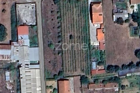 Helårsgrund i Mealhada, Aveiro, Mealhada - € 450.000 | Ref: ZMPT574541 - foto 4