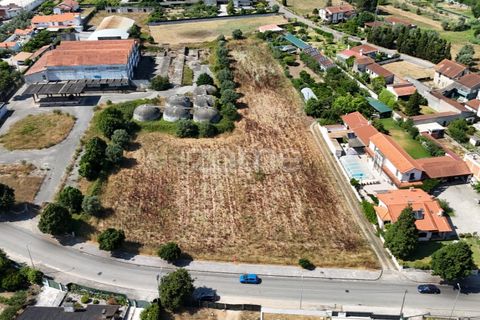 Helårsgrund i Mealhada, Aveiro, Mealhada - € 450.000 | Ref: ZMPT574541 - foto 8