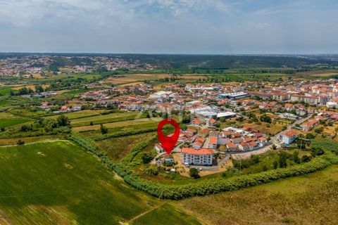 Villa i Leiria, Leiria, Leiria - € 330.000 | Ref: ZMPT590458 - foto 50